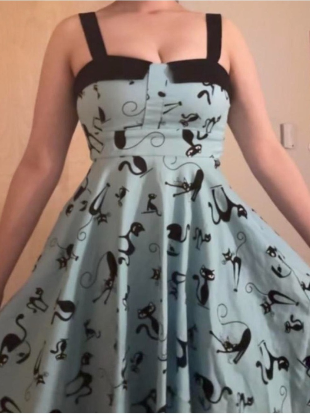 Eva Rose Cat Print Sleeveless Dress